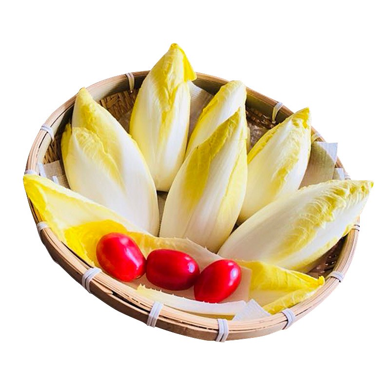 芽球玉蘭金白菜