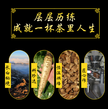 玉蘭根和菊苣根的區(qū)別在哪 玉蘭根和菊苣根的三大不同之處